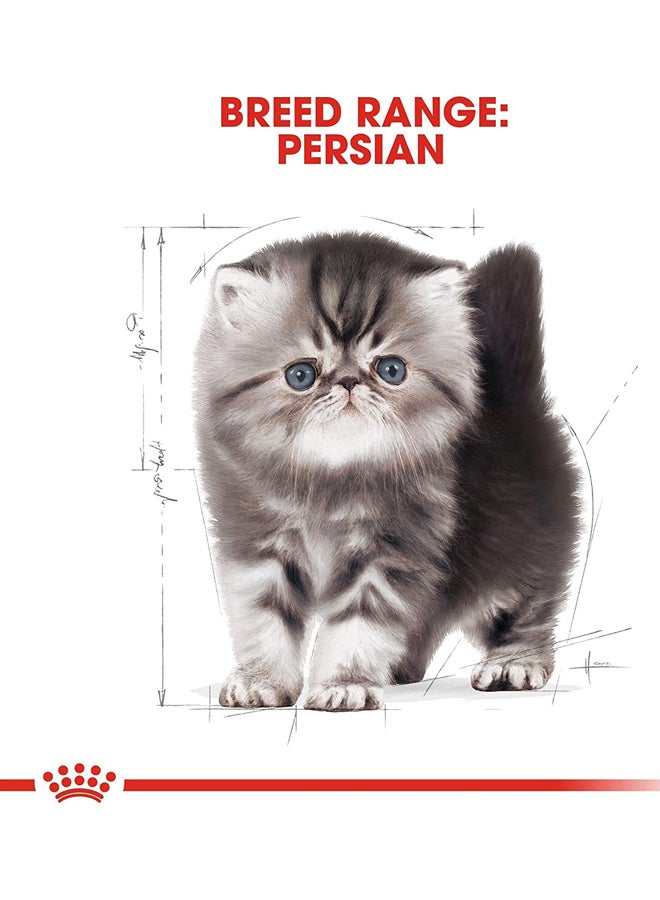 ROYAL CANIN Pack Of 12 Feline Breed Nutrition Persian 85grams - Image 2