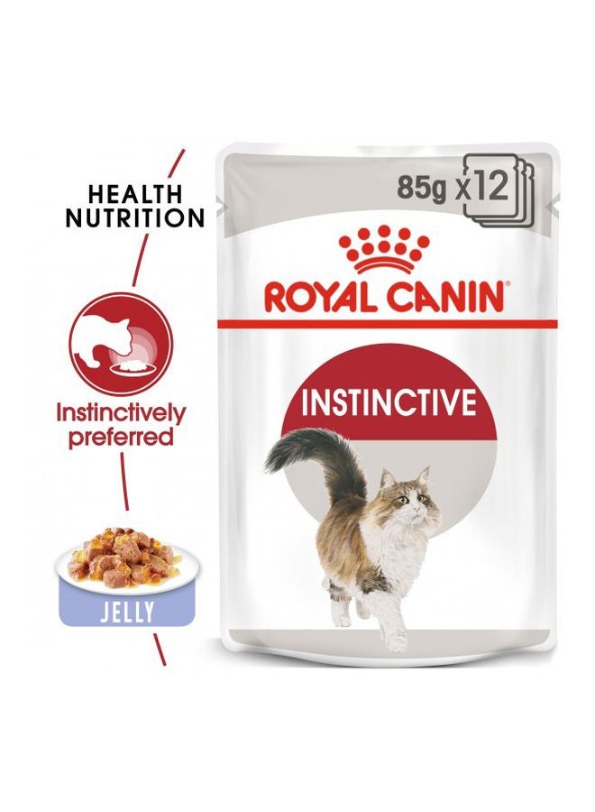 رويال كانين حزمة من 12 عبوة طعام إنستينكتيف في الجيلي 1020جرام - Image 2