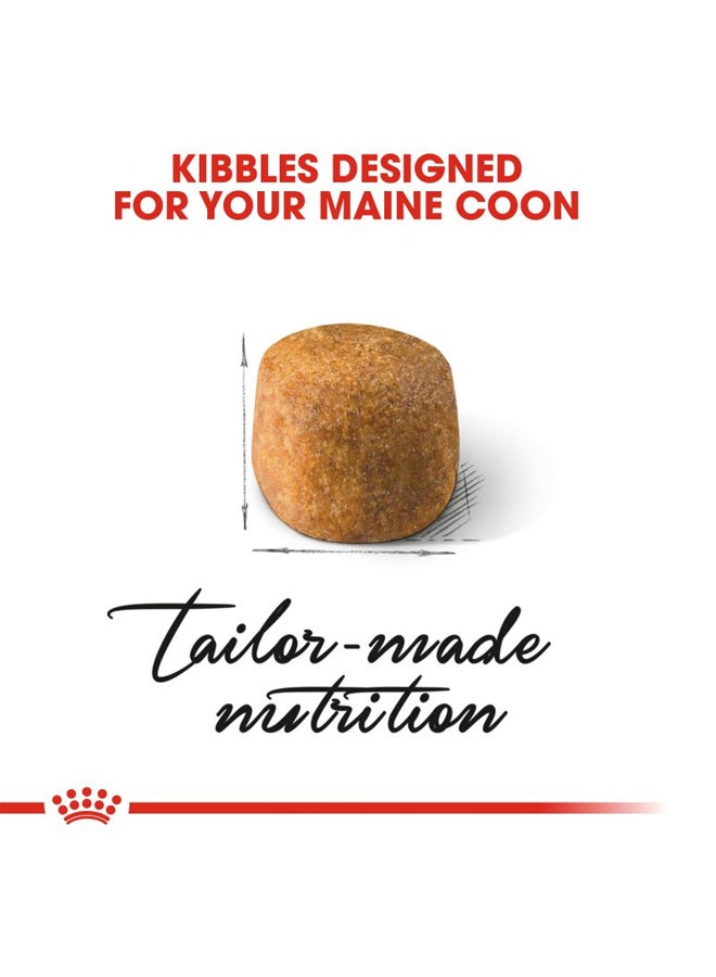 ROYAL CANIN Feline Breed Nutrition Maine Coon Brown 2kg - Image 2