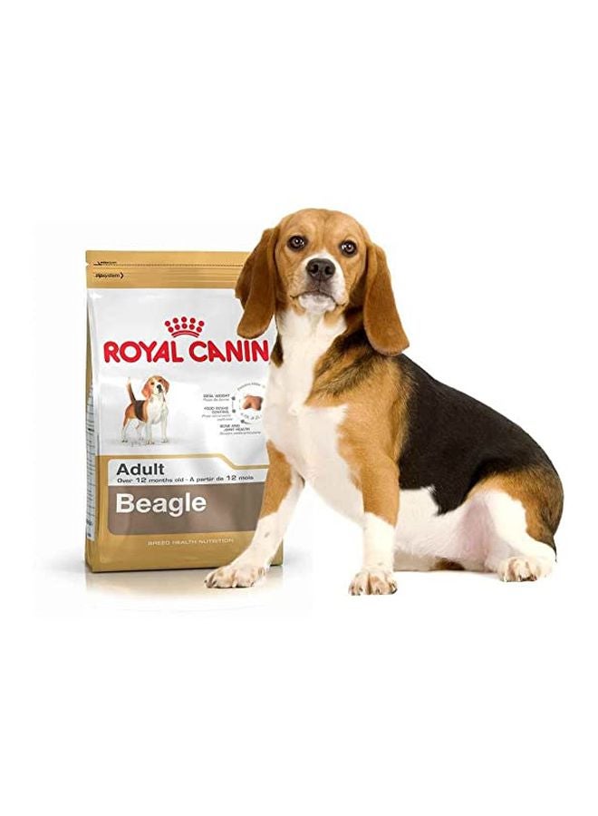 رويال كانين غذاء صحي لفصيلة بيغل - الكبار متعدد الألوان 3كيلوجرام - Image 2