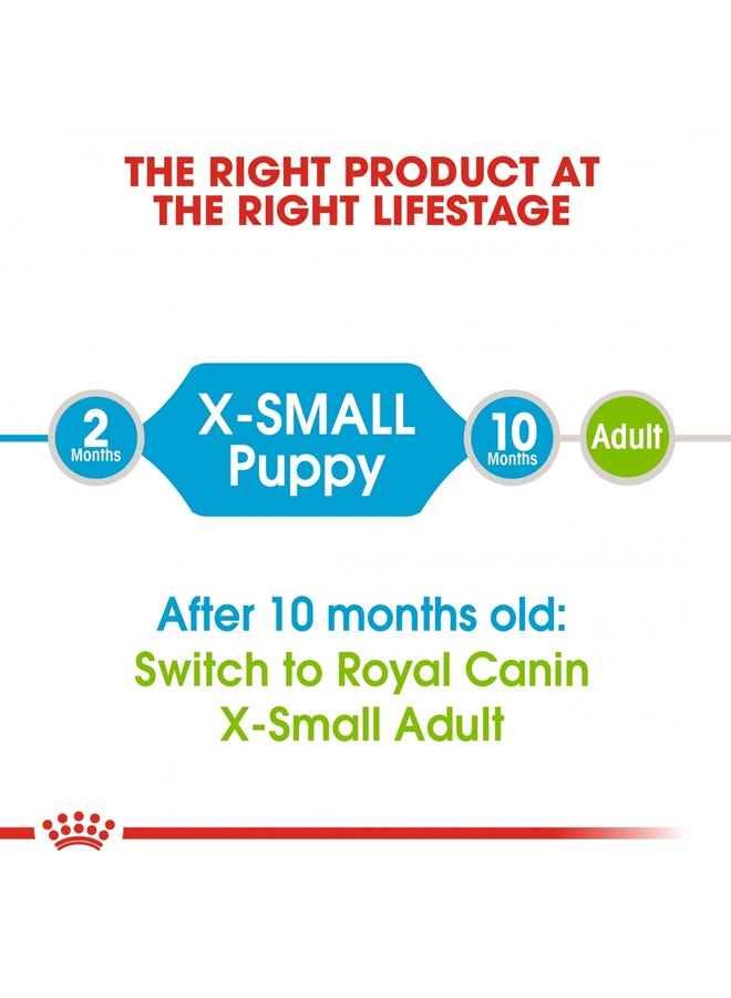 رويال كانين غذاء صحي للجراء حجم إكس سمول متعدد الألوان 1.5كيلوجرام - Image 2