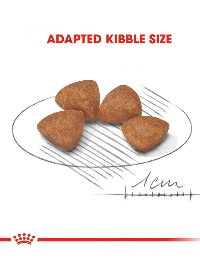 رويال كانين غذاء صحي للجراء حجم إكس سمول متعدد الألوان 1.5كيلوجرام - Image 3