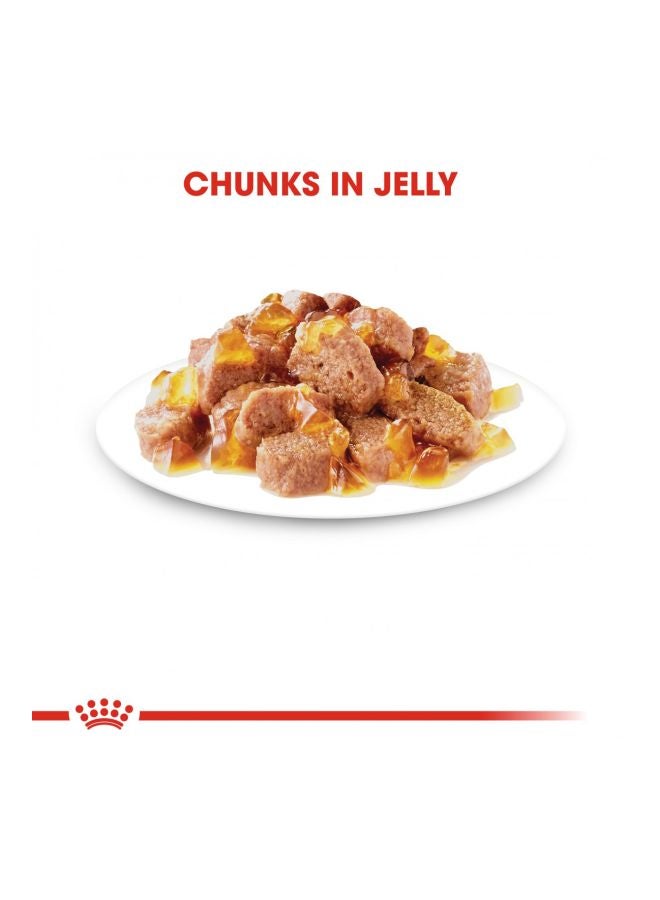 رويال كانين مجموعة مكونة من 12 عبوة طعام رطب إنتنس بيوتي متعدد الألوان 85جرام - Image 4