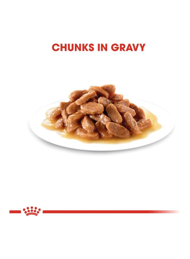 رويال كانين طقم معقمات للقطط الصغيرة من 12 قطعة - Image 3