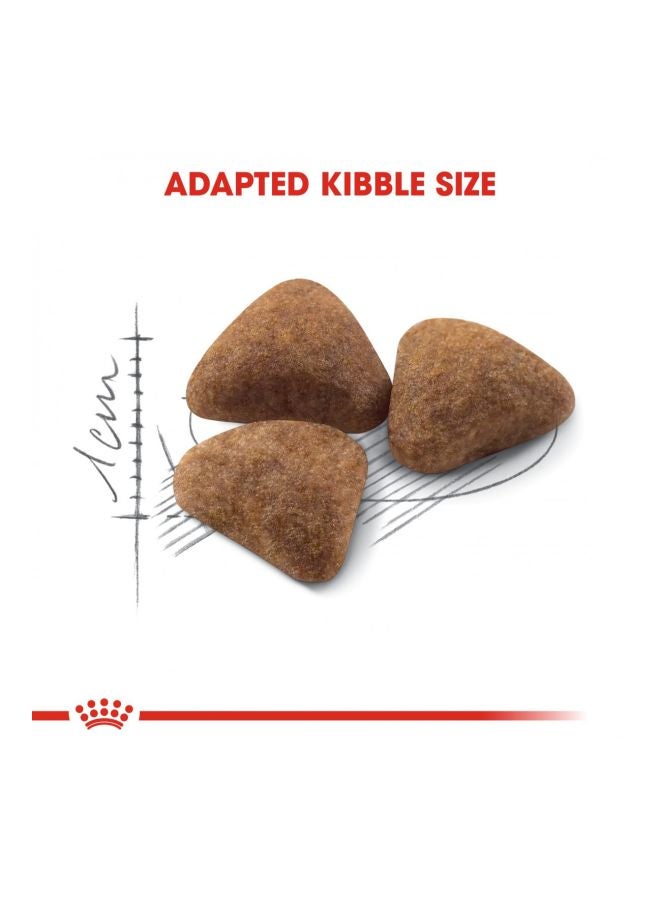 ROYAL CANIN Feline Health Nutrition Indoor 4kg - Image 4