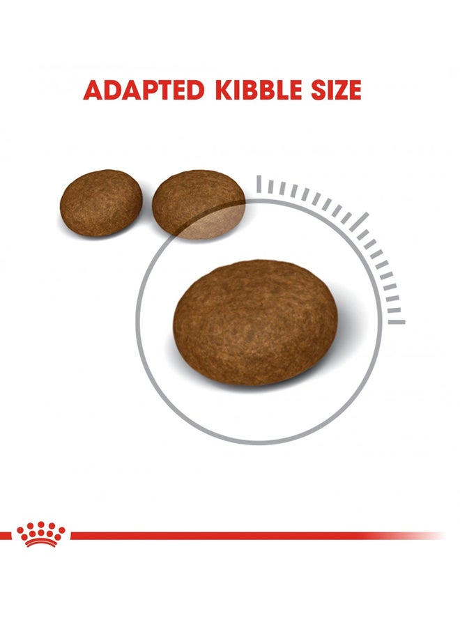 رويال كانين طعام جاف للقطط للعناية بالفراء والجلد بني 2كيلوجرام - Image 2