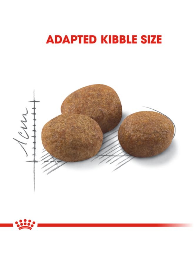 رويال كانين طعام معقم بني 2كيلوجرام - Image 3