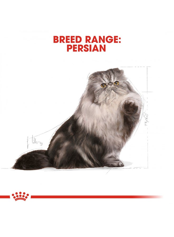 ROYAL CANIN Persian Dry Kitten Food For Cat Brown 2kg - Image 2