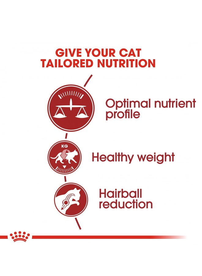 ROYAL CANIN - Regular Fit 32 Food For Cat Brown 2kg - Image 1