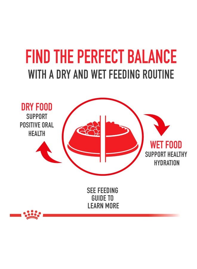 ROYAL CANIN - Persian Adult Dry Food 10kg - Image 1