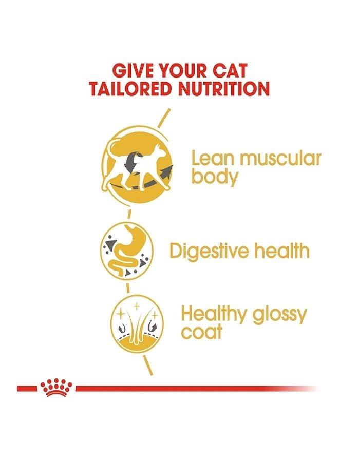 رويال كانين طعام جاف للتغذية مناسب لفصيلة القطط السيامي - الكبار 2كيلوجرام - Image 4