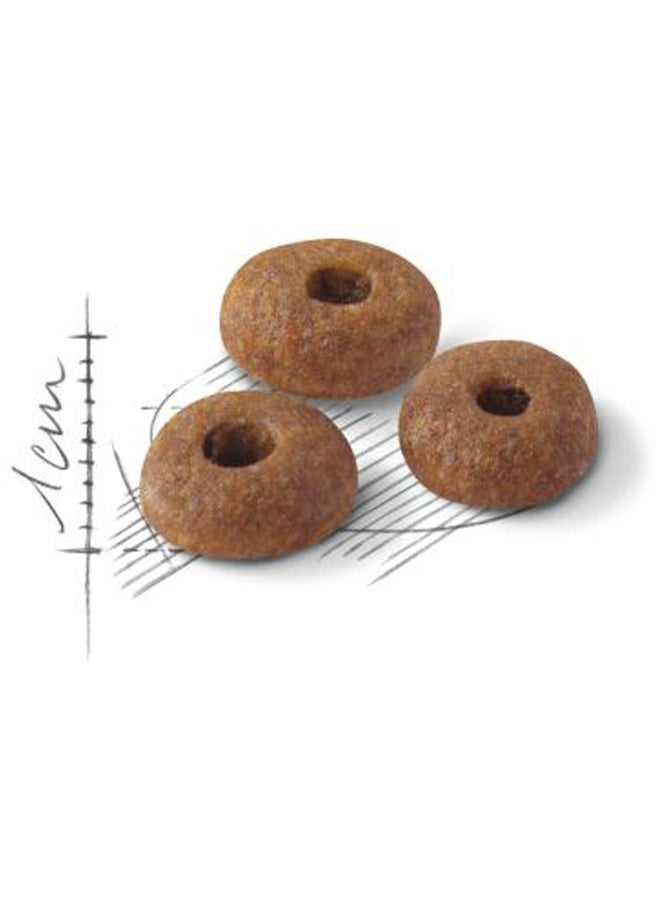 رويال كانين طعام القطط ريجولار فيت 32 بني 10كيلوجرام - Image 2