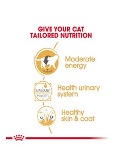 ROYAL CANIN Pack Of 12 British Shorthair Wet Food 85grams  - Image 4