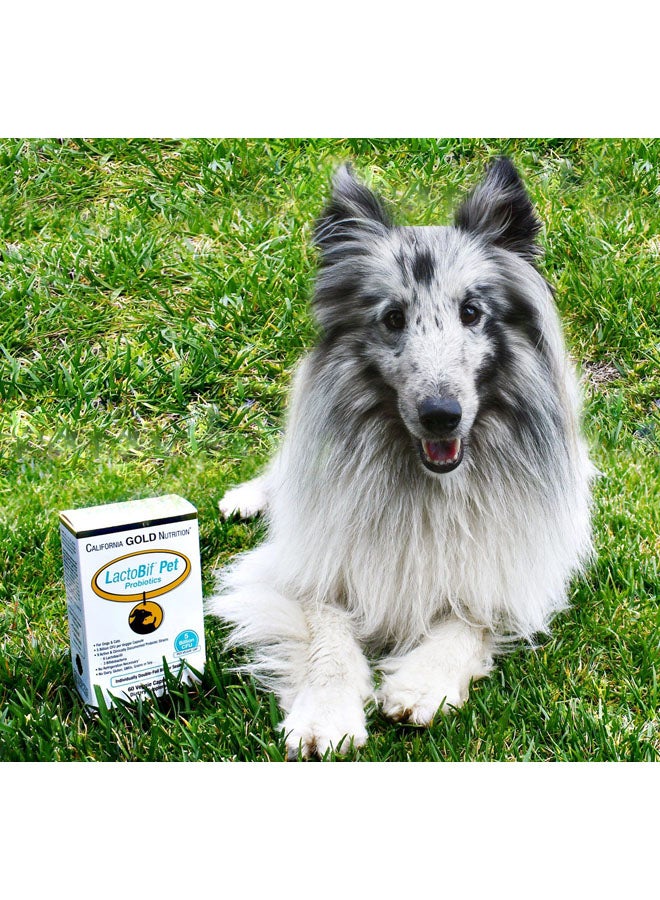 كاليفورنيا غولد نيوترشن بروبايوتك لاكتوبيف للحيوانات الأليفة - 60 كبسولة - Image 4