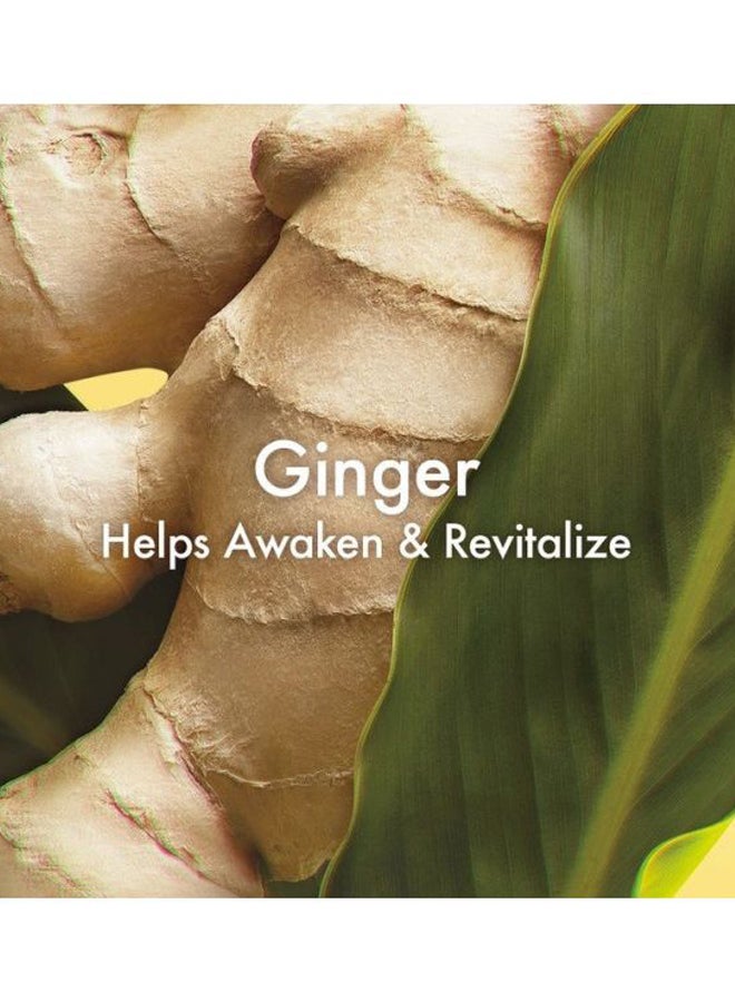 Origins Ginger Hand Lotion 200ml  - Image 3