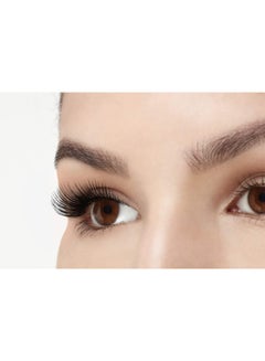 False Eyelash 811 Black - v1594139318/N21478172A_7