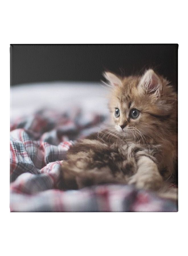 Kitten Themed Canvas Wall Painting With Frame Brown/White/Black 50x50cm  - Image 1