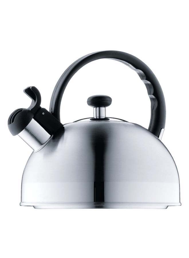 Rapid Heating Whistling Kettle Silver 21.8 x 22.6cm - v1594310230/N39223347A_1