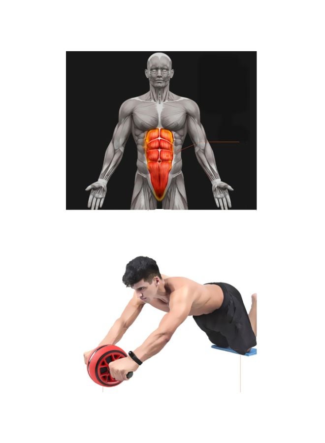 Cool Baby Abdominal Muscle Exercise Roller 20x18x18cm - Image 3