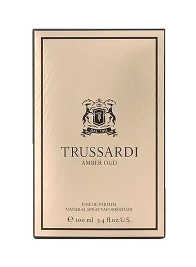 TRUSSARDI - Amber Oud EDP 100ml - Image 1