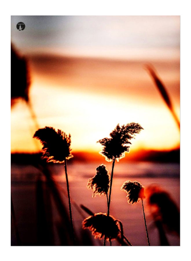 BP Printed Decorative Plate Multicolour 15 x 20cm