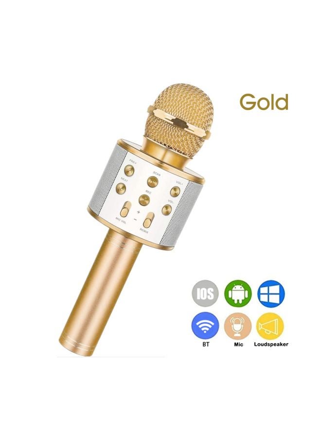 Wireless Karaoke Microphone WS-858 Gold/Silver  - Image 2
