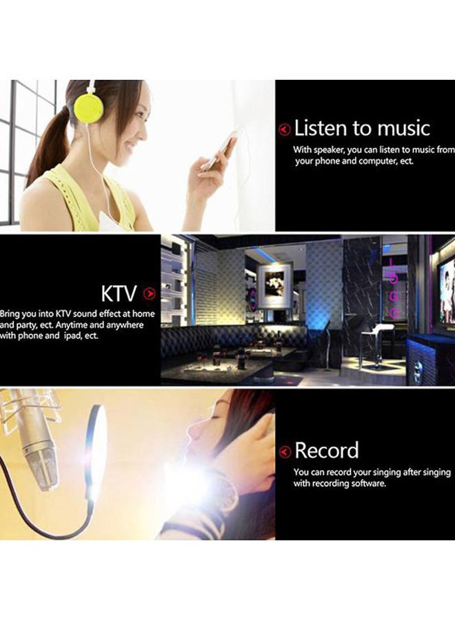 Wireless Karaoke Microphone WS-858 Gold/Silver  - Image 4