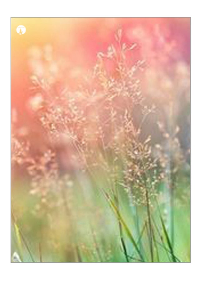 BP Printed Decorative Wall Art Plate Multicolour 20cm