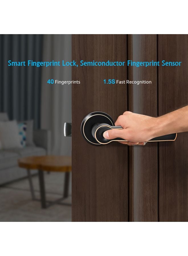 Biometric Fingerprint Handle Lock Black 150x65x25mm - Image 5