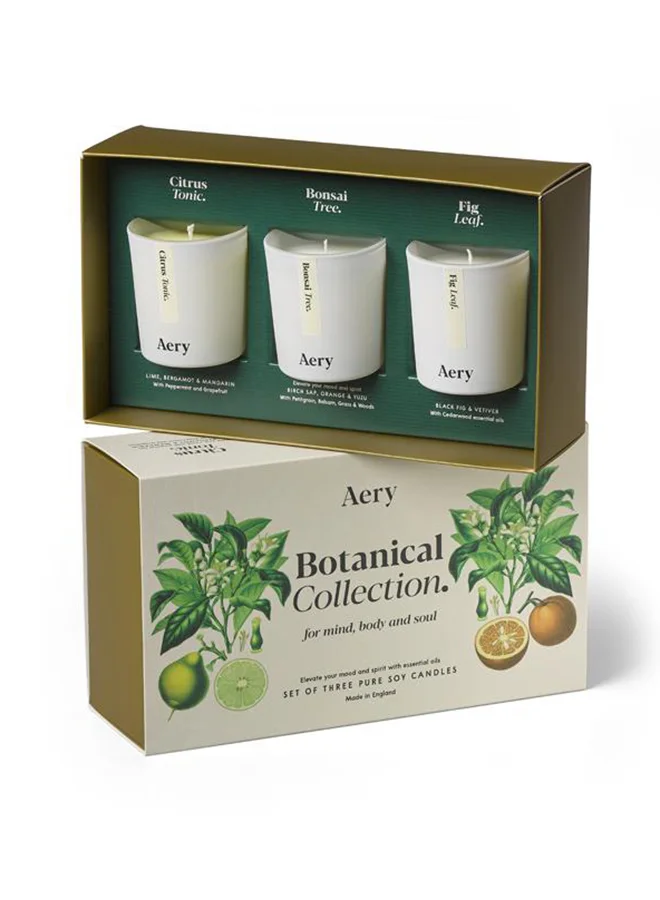 Aery Living 3-Piece Botanical Candle Gift Set Multicolour 23.5 x 13.5 x 7.5cm