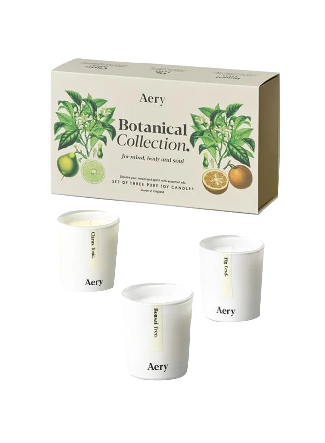 Aery Living 3-Piece Botanical Candle Gift Set Multicolour 23.5 x 13.5 x 7.5cm