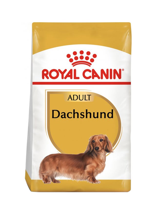 رويال كانين غذاء صحي لنسل داتشند- الكبار 1.5كيلوجرام - Image 1