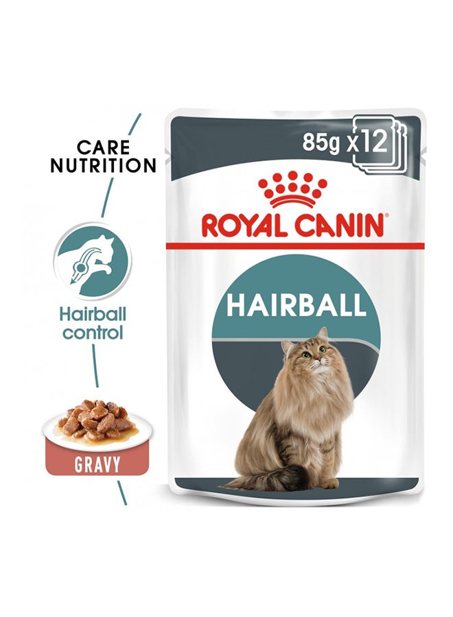 ROYAL CANIN Feline Care Nutrition Hairballgravy Wet Food Pouches 85g Pack Of 12  - Image 2