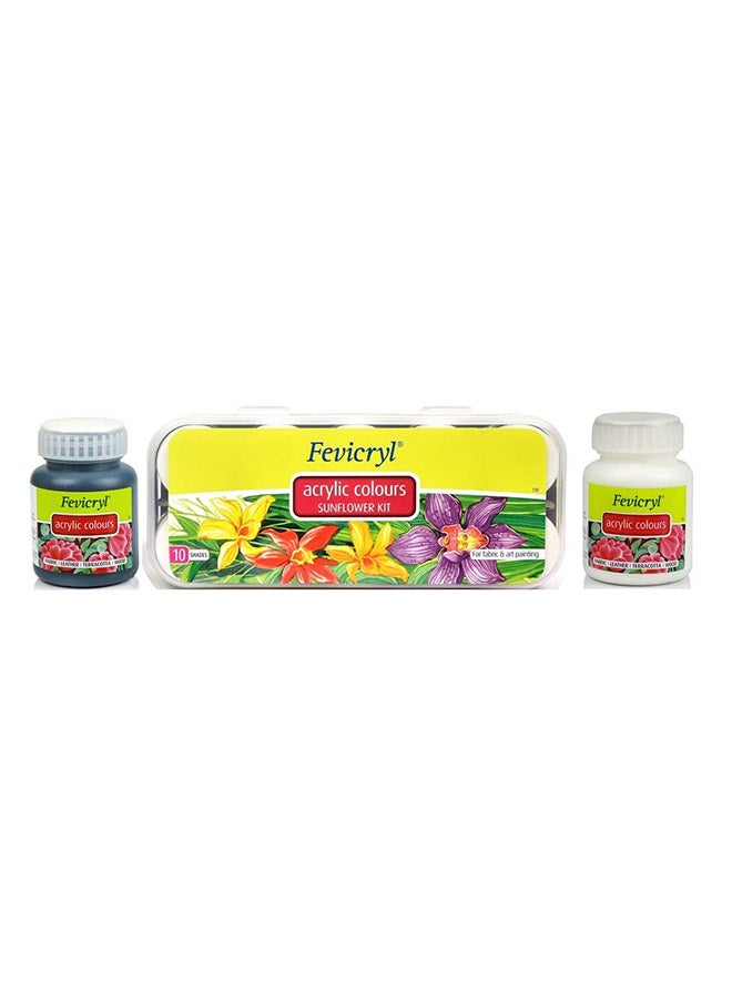 10-Piece Acrylic Sunflower Kit 10x15ml Multicolour - v1594804385/N19659459A_3