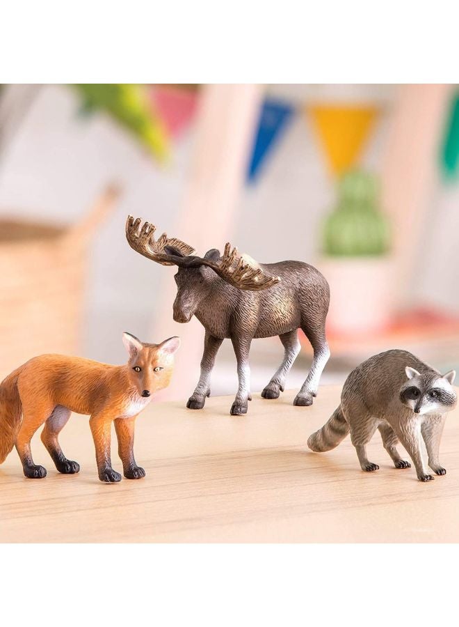Terra - Forest Animals Fox Moose & Raccoon - Image 2
