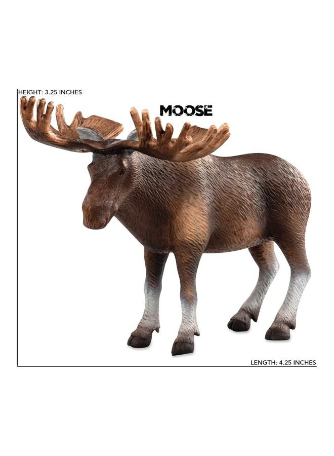 Terra - Forest Animals Fox Moose & Raccoon - Image 4