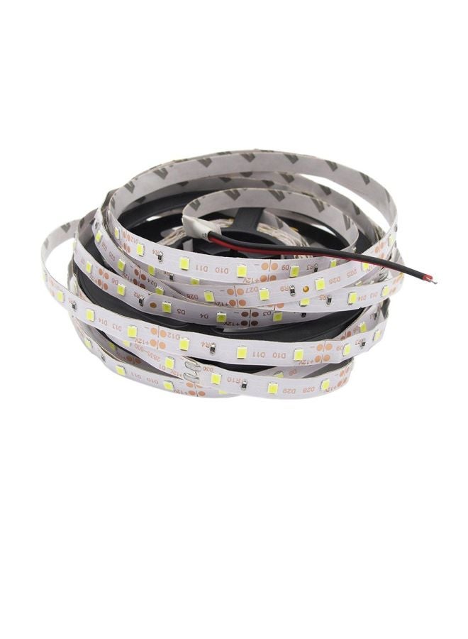 شريط إضاءة LED طراز 3528 أزرق 5متر - Image 2