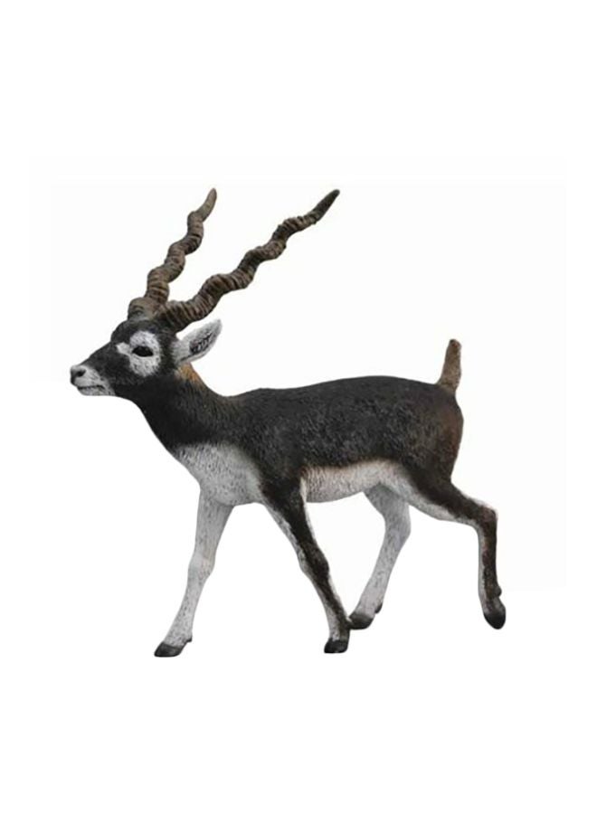 CollectA Black Buck  Animal Figure 88638 - Image 2