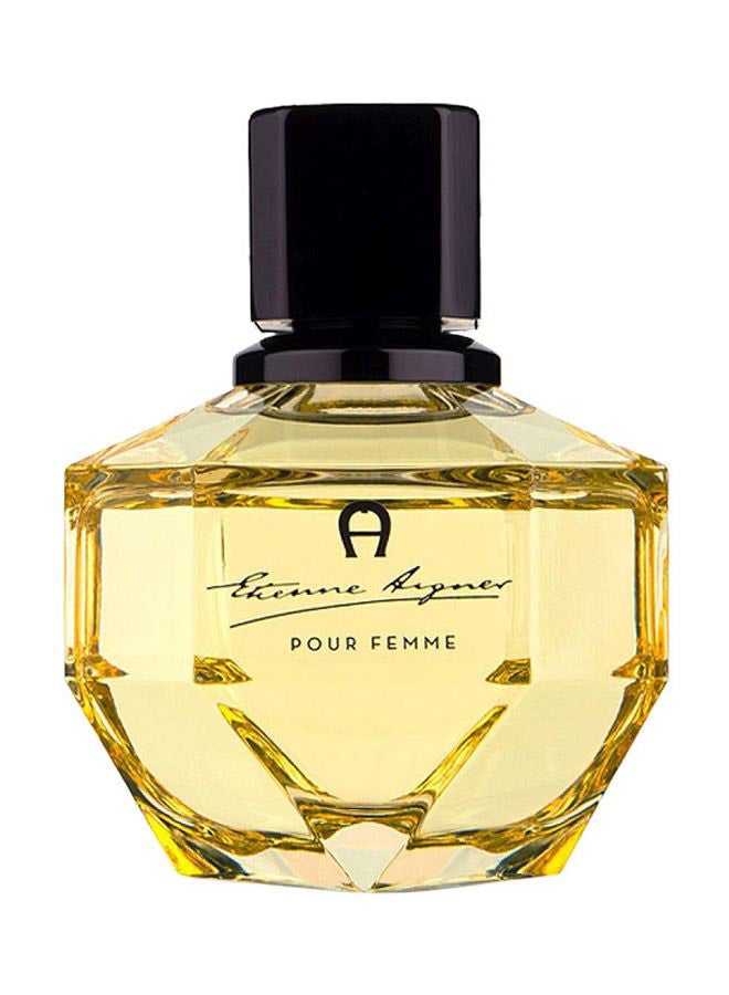 AIGNER Etienne EDP 100ml - Image 2