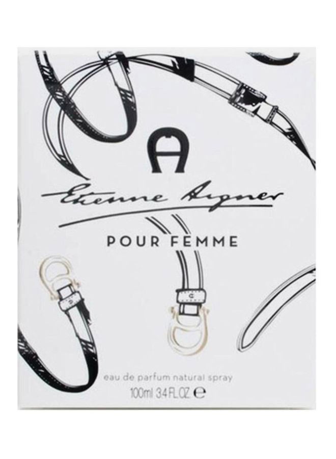 AIGNER Etienne EDP 100ml - Image 3