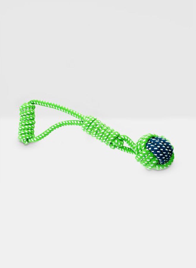 أوتاد حبل للمضغ والعض للتدريب التفاعلي للحيوانات الأليفة يعمل على تنظيف أضراسها أخضر/أزرق - Image 2