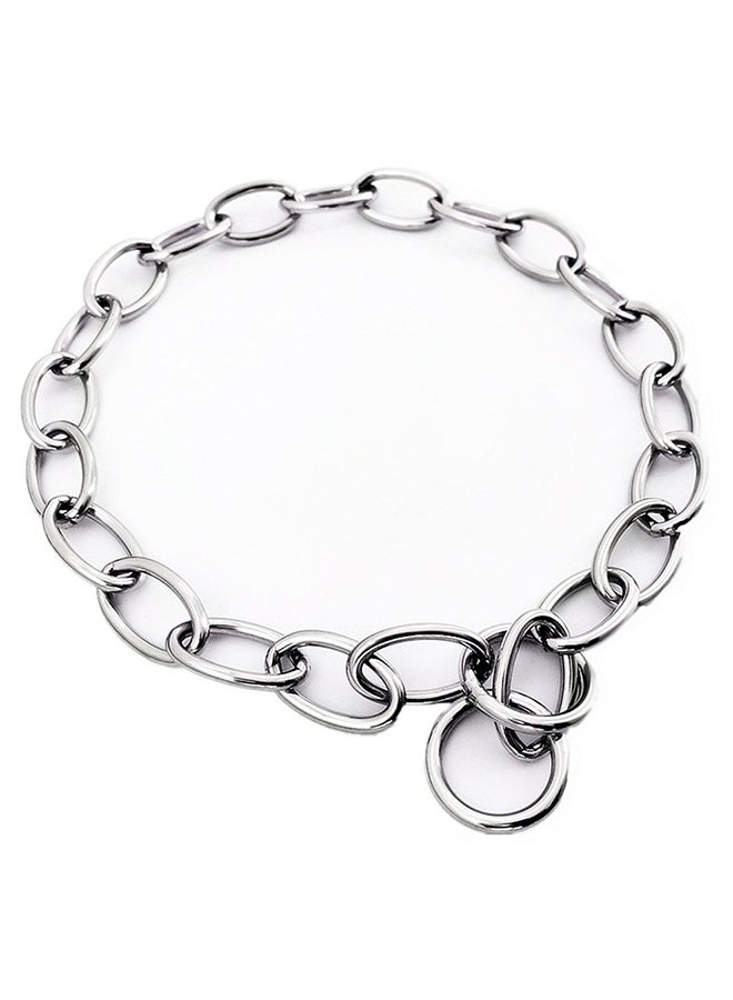 Pet Choke Chain Collar Sliver 64cm - Image 1