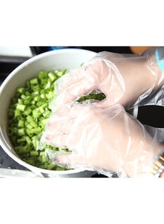 Generic 100-Piece Disposable Glove Set Clear One Size  - Image 3