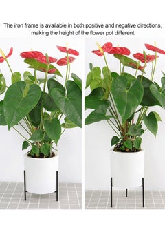 Generic Automatic Water Absorbing Lazy Flower Pot With Shelf White/Black 110mm  - Image 4