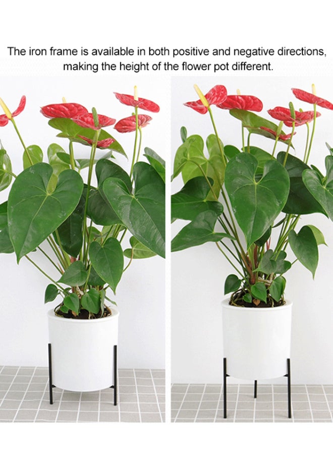 Generic - Automatic Water Absorbing Lazy Flower Pot With Shelf White/Black 110mm - Image 1