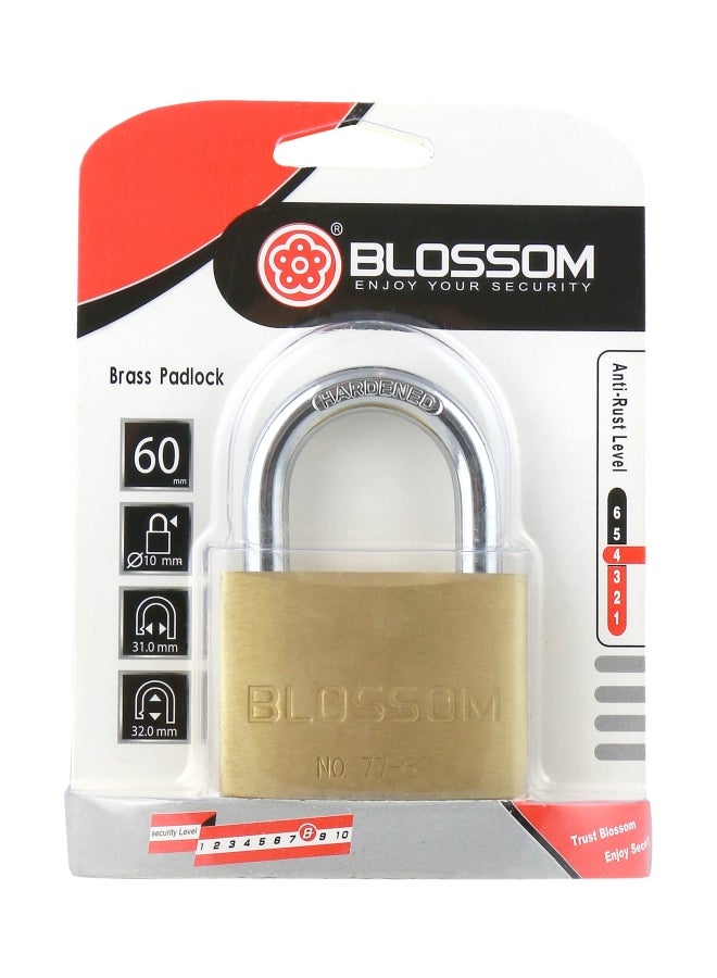 Blossom Brass Padlock Gold/Silver 60x10mm  - Image 2