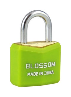 Blossom Polish Brass Padlock Green/Silver 20x3.3mm  - Image 1
