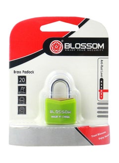Blossom Polish Brass Padlock Green/Silver 20x3.3mm  - Image 2