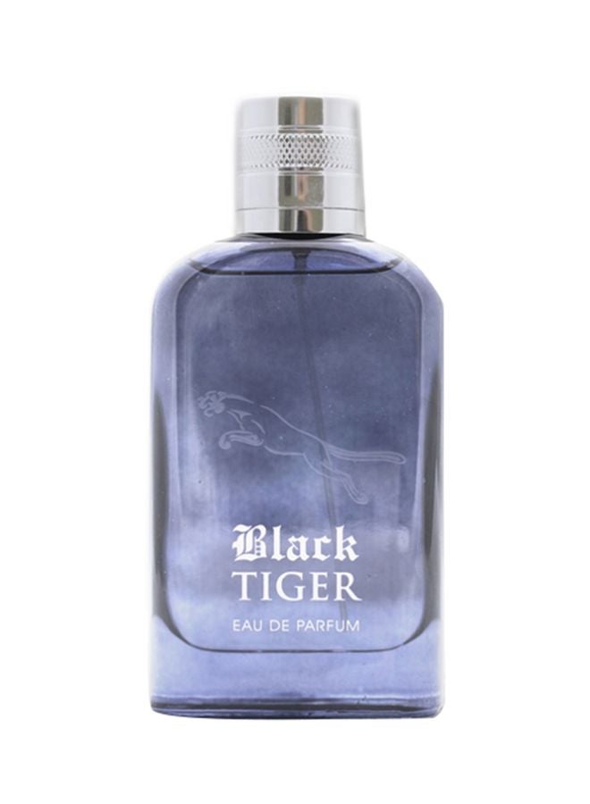 Alina Corel Black Tiger EDP 100ml - Image 2