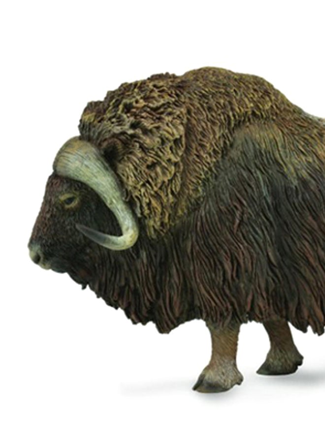 CollectA Musk Ox Animal Figure Toy - Image 2